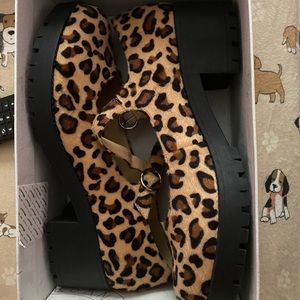 Cheetah platforms